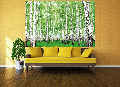 GREAT ART XXL Póster – Bosque De Abedules – Foto del Bosque Y De La Naturaleza Decoración De La Pared del Paisaje Sendero del Bosque Flora Y Fauna Mural Deco Motivo De Limpieza (140 X 100 Cm)