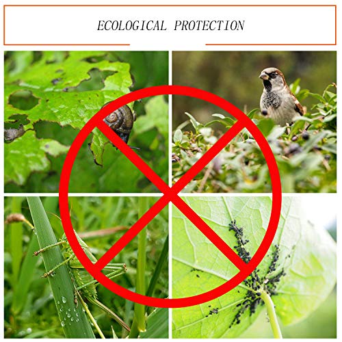 Gxhong Red De Protección contra Insectos, Malla Fina Vegetal para Jardín， Red De Protección para Plantas De Jardín, Flores Huerta Anti-Aves Anti-Insectos(2.5 X 6m)