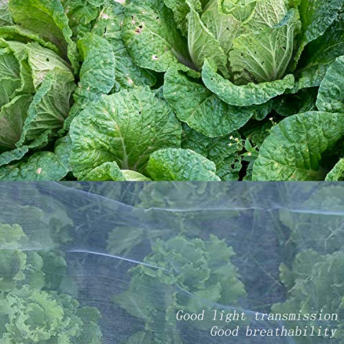 Gxhong Red De Protección contra Insectos, Malla Fina Vegetal para Jardín， Red De Protección para Plantas De Jardín, Flores Huerta Anti-Aves Anti-Insectos(2.5 X 6m)