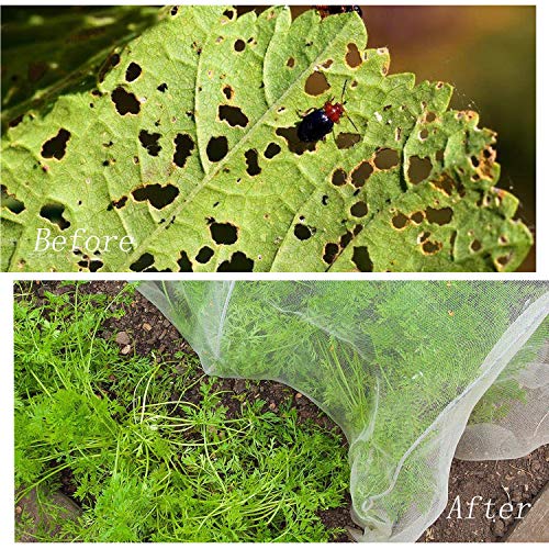 Gxhong Red De Protección contra Insectos, Malla Fina Vegetal para Jardín， Red De Protección para Plantas De Jardín, Flores Huerta Anti-Aves Anti-Insectos(2.5 X 6m)