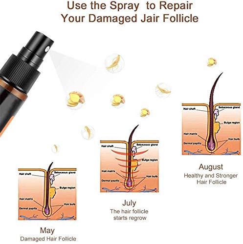 Hair Regrowth Essence Intensive Spray, Natural Ingredients Hair Regrowth Anti-Loss Hair Fluid Used for Anti Hair Loss, Wake up The Scalp and reproduce Thick Hair, for Men for Women