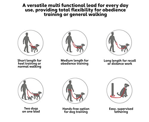 HALTI Training Lead (6' 6")