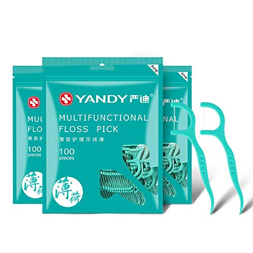 Hao Sou Palillo De Hilo Dental, Hilo Dental, Palillos De Dientes, Línea Suave Y Redonda, Sabor A Menta Interdental Limpio, 300 Palitos De Hilo Dental Doméstico