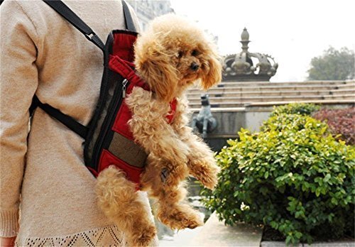 HAPPY HACHI Mochila Portaperro Pequeños Bolsa Transporte Transportin Gato Cachorros Canguro para Perros para Caminatas Viajes Portátil Seguro