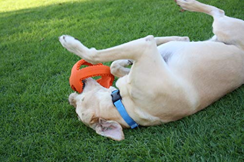 Happy Pet - Pelota de peluquería