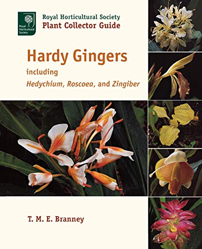 Hardy Gingers: Including Hedychium, Roscoea, and Zingiber