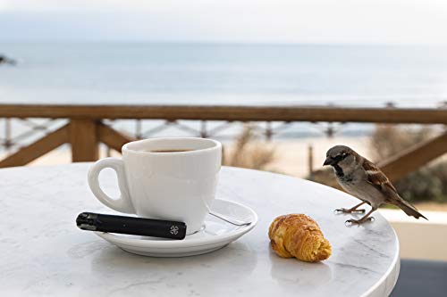 Harmony E-líquido de CBD (más de 99% pureza) - Terpenos de Mango Kush - 100 mg CBD en 10 ml - Sin Nicotina