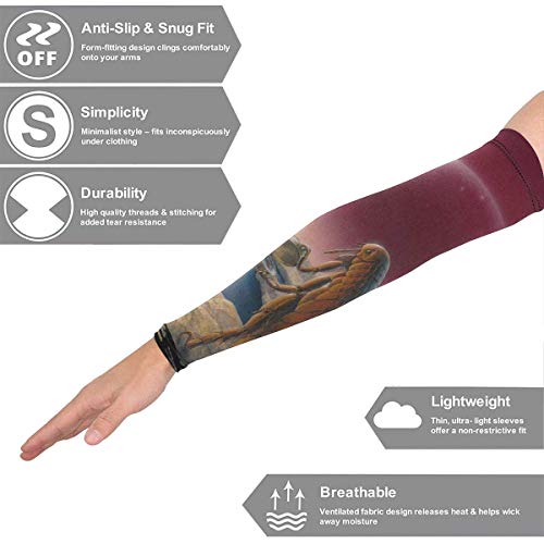 hdyefe Mangas de Brazo The Claypool Lennon Delirium Sur de la Realidad Compresión Protección UV Enfriamiento Cubierta del Brazo Guantes para Mujeres Hombres 1 par