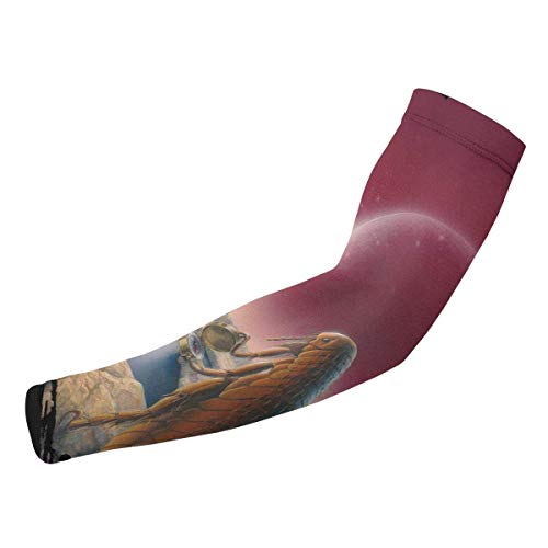 hdyefe Mangas de Brazo The Claypool Lennon Delirium Sur de la Realidad Compresión Protección UV Enfriamiento Cubierta del Brazo Guantes para Mujeres Hombres 1 par