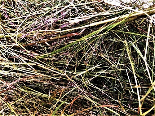 Heno de Heinrich® 7 kg bio de kräut erheu de Quader pulpejo