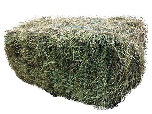 Heno de Heinrich® 7 kg bio de kräut erheu de Quader pulpejo