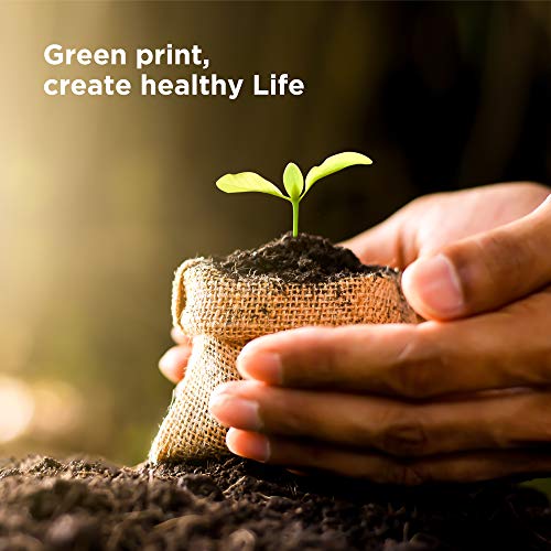 Hicorch 29XL Negro para Epson 29 Cartuchos de Tinta Compatible con Epson Expression Home XP-235 XP-245 XP-247 XP-255 XP-342 XP-332 XP-335 XP-345 XP-432 XP-435 XP-442 (4-Pack)