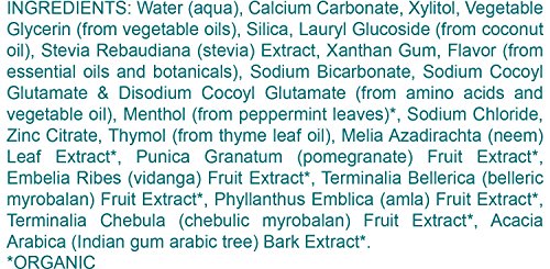 Himalaya Complete Care Toothpastes (Simply Spearmint, 1-Pack)