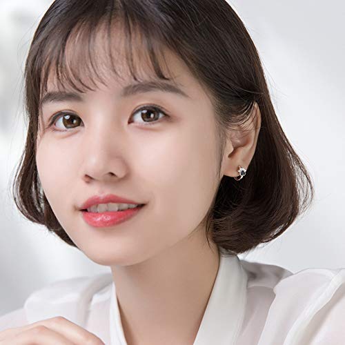 HMMJ Cute Puppy Paw Print Small Sleeper Pendientes de aro hipoalergénicos Plata de Ley Falso CZ Diamond Lovely Cat Round Huggie para Mujeres Adolescentes (Color : Rose Gold)