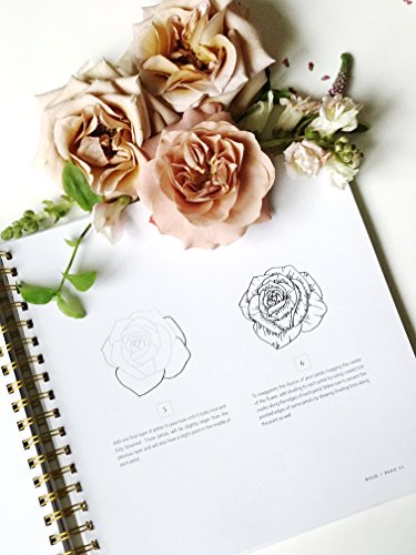 How To Draw Modern Florals: An Introduction to the Art of Flowers, Cacti, and More