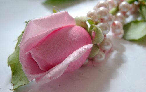 HOW TO PLAN A LOW COST CHIC WEDDING (English Edition)