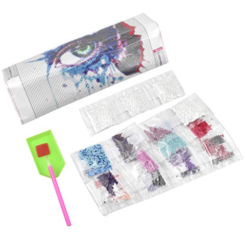 HQdeal 5D Kit Completo de Pintura de Diamante, ojos azules Bordado de Diamantes de Imitación para Adultos Relájese en Punto de Cruz Artes de Artes Pegadas para Decoración de Paredes30*30cm