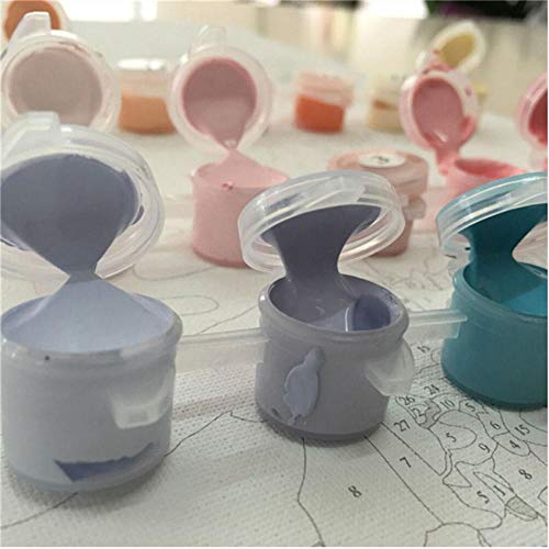 Hyllbb Diy pintura al óleo Perfume Amapolas Para Colorear Por Números Imágenes De Arte De Pared Para Sala De Estar Pintura Al Óleo Sobre Lienzo Óleo Cuadros Cuadros-40 * 50Cm,With Frame