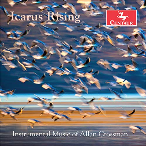 Icarus Rising