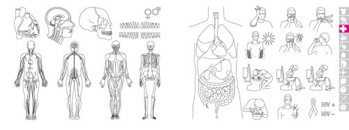 ICOON Rosa. Diccionario visual con 2.000 iconos e imágenes. Bolsillo. Amber Press.: global picture dictionary