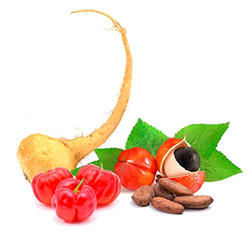 INCAFORCE * 372 mg / 90 cápsulas * Extractos estandarizados * Cerebro, Energía, Inmunitario