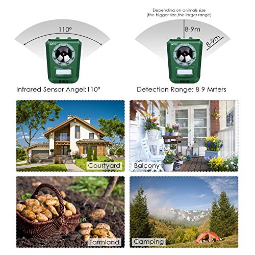 INTEY Ahuyentador de gatos repelente de animales ultrasónico, Disuasivo de miedo de perro, zorro y gato impermeable al aire libre, con altavoz para granja de jardín