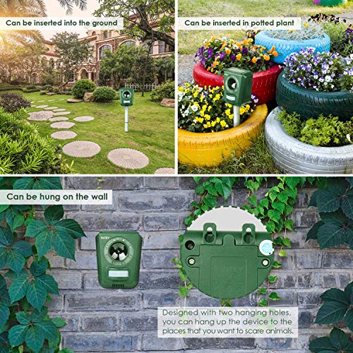 INTEY Ahuyentador de gatos repelente de animales ultrasónico, Disuasivo de miedo de perro, zorro y gato impermeable al aire libre, con altavoz para granja de jardín