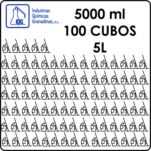 IQG Fregasuelos Concentrado 5L. Limpiador de Suelos perfumado para Todo Tipo de Suelos (terrazo, mármol, cerámica, parket, etc). (Floral)
