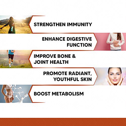 Jalea Real Pura Dosis 750mg | Refuerza Sistema Inmunológico, Reduce Cansancio Y Fatiga, Con Vitaminas y Minerales, Aumenta Defensas, Energía y Vitalidad, Suplemento Para Cabello y Piel, 60 Cápsulas