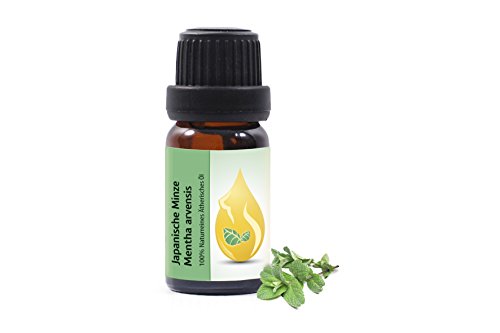 Japonés Menta (Mentha arvensis) - 100% puro, sin diluir, grado terapéutico (10ml)