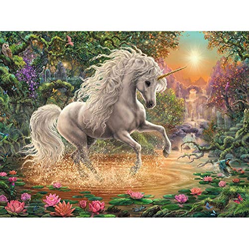 JRGGPO Kit de Pintura de Diamante 5D DIY Unicornio Lago Bordado Punto de Cruz decoración del hogar Regalo 40x50cm
