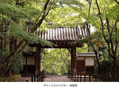 Kenko Green Enhancer, 72mm Green Camera Filter 72mm - Filtro para cámara (72mm, 7,2 cm, Green Camera Filter, 1 Pieza(s))