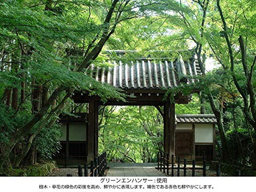 Kenko Green Enhancer, 77mm Filtro de Densidad Neutra 77mm - Filtro para cámara (77mm, 7,7 cm, Filtro de Densidad Neutra, 1 Pieza(s))