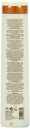 Kin Kinactif Plata Champú Cabello gris y blanco 250 ml