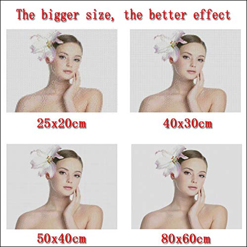 Kits de punto de cruz de pintura de diamantes de bricolaje Cristal de mosaico completo Diamante bordado Alice: Madness Returns Patrones Rhinestone