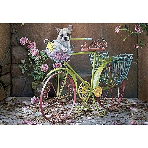 KWzEQ Imprimir en Lienzo Bulldog francés Bicicleta Flor Pared Arte Imagen decoración del hogar para Sala de Estar carteles60x75cmPintura sin Marco