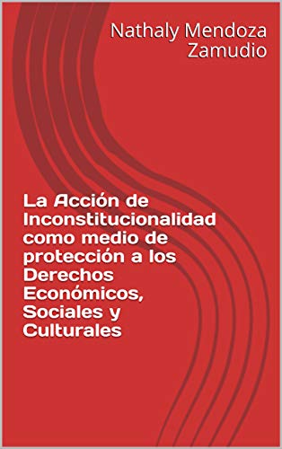 La Acción de Inconstitucionalidad como medio de protección a los Derechos Económicos, Sociales y Culturales