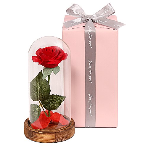 "La Bella y la Bestia" Rose Kit Rosa de Seda roja y luz LED con pétalos caídos en cúpula de Cristal Sobre una Base de Madera, Mejor Regalo para el día de San Valentín, Boda, Aniversario, cumpleaños