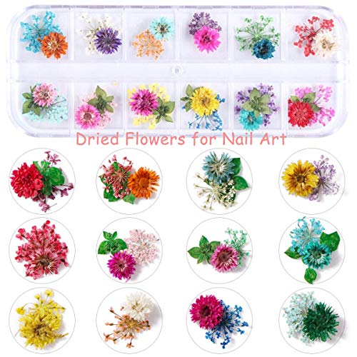 LABOTA 36 Cajas Lentejuelas de uñas holográficas, Mariposa 3D, Copos de sirena Lentejuelas coloridas de brillo de uñas, 12 colores Flores secas Diseño de uñas Diseño de calcomanías DIY Decoración