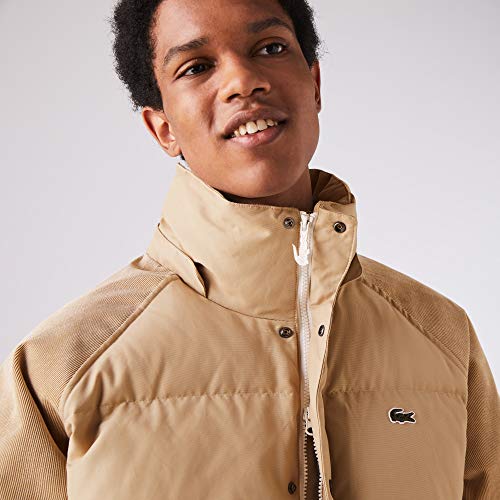 Lacoste Live - Chaqueta Hombre