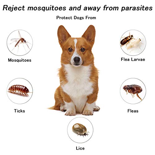 LAOYE Collar de pulgas - 8 Meses de protección el Collar de Perro con Longitud Ajustable para Todas Las Edades de Perros el Collar antipulgas de Perro el Collar antiparasitos Perro pequeño