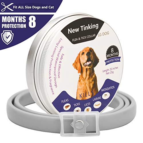 LAOYE Collar de pulgas - 8 Meses de protección el Collar de Perro con Longitud Ajustable para Todas Las Edades de Perros el Collar antipulgas de Perro el Collar antiparasitos Perro pequeño