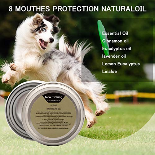 LAOYE Collar de pulgas - 8 Meses de protección el Collar de Perro con Longitud Ajustable para Todas Las Edades de Perros el Collar antipulgas de Perro el Collar antiparasitos Perro pequeño