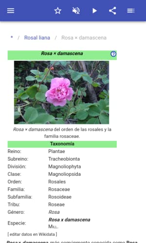 Las variedades de rosas