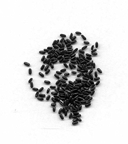 Lavanda 150 semillas - Lavandula angustifolia - planta de jardín muy popular con aroma aromático