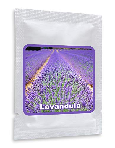 Lavanda 150 semillas - Lavandula angustifolia - planta de jardín muy popular con aroma aromático