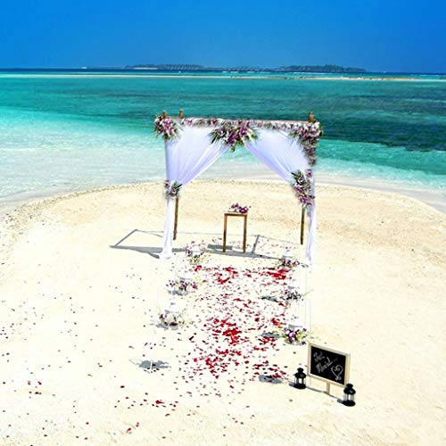 LEBQ 100 Gramos de Pétalos de Rosa Secos Pétalos de Flor Real para Baño Pies Boda Confeti Accesorios de Manualidades, 1 Bolsa