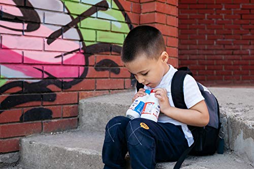 Leche entera UHT Dana de larga duración 250 ml x 12 (3,5% materia grasa)