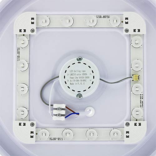 LED Lámpara de Techo 36W Interior Plafón Moderna LED de Techo Redonda Ultra fina IP 20 170-265V AC SMD 2835 Epistar Vida útil 30000 Horas De Baño Pasillo Cocina Sala Salón Comedor (Circular Ice, 36W)