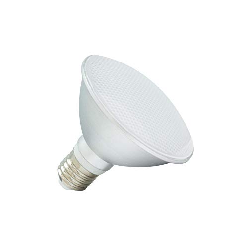 LEDKIA LIGHTING Bombilla LED E27 Casquillo Gordo PAR30 10W Waterproof IP65 Blanco Frío 6000K - 6500K